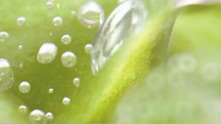 1755047843849293.gif ab8c25eb54bbf8b87deb0e8e7ea77ae1.gif